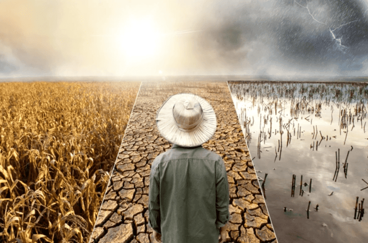 Cuaca Boleh Affect Komoditi