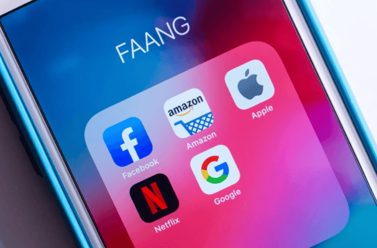 FAANG - Facebook Amazon Apple Netflix Google