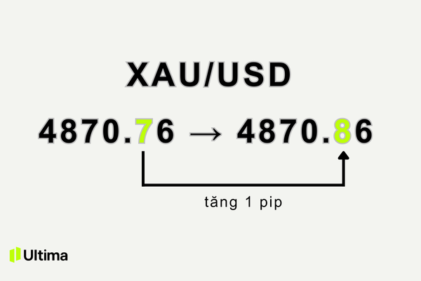 Cách tính pip vàng trong forex