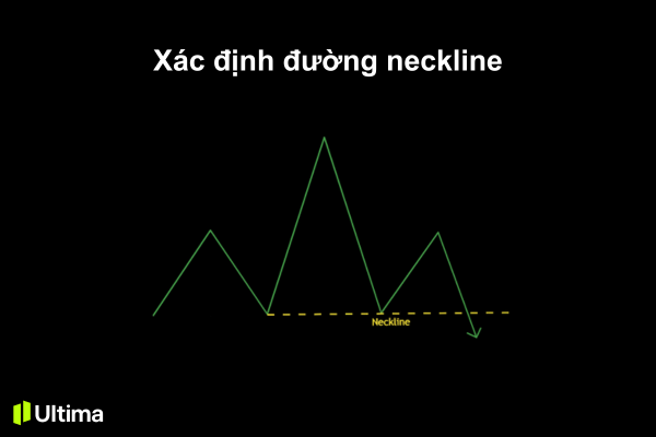 Xác định đường neckline