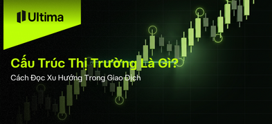 Cấu Trúc Thị Trường Là Gì? Cách Đọc Xu Hướng Giao Dịch