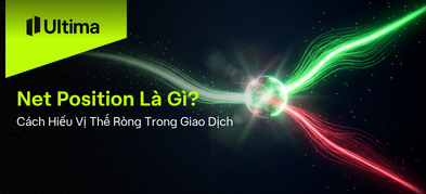 Net Position Là Gì? Cách Tính & Ứng Dụng