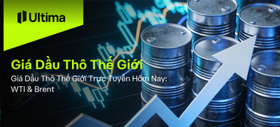 Giá Dầu Thô Thế Giới Trực Tuyến Hôm Nay: WTI & Brent