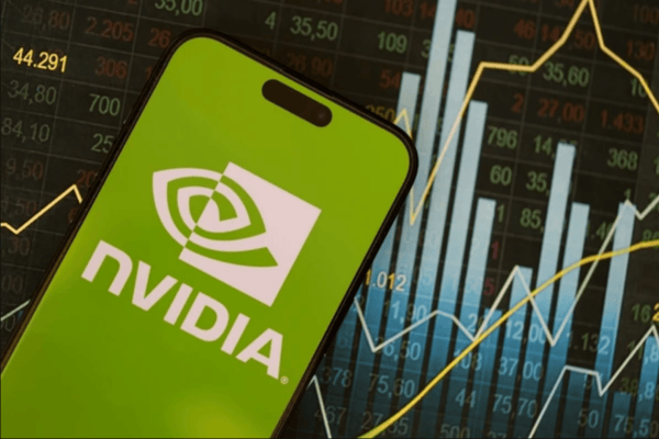 Nvidia Stocks Price Fluctuation 