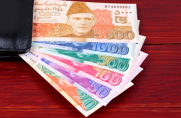 Pakistani Rupee How Does Pakistan Money Look