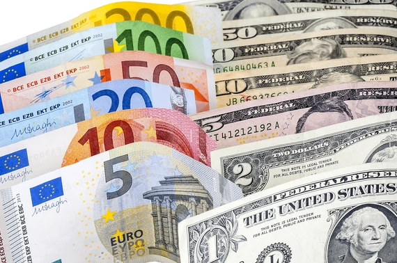 What Currency Does German Use