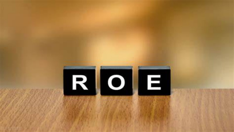ROE and P/E Ratio Relationship