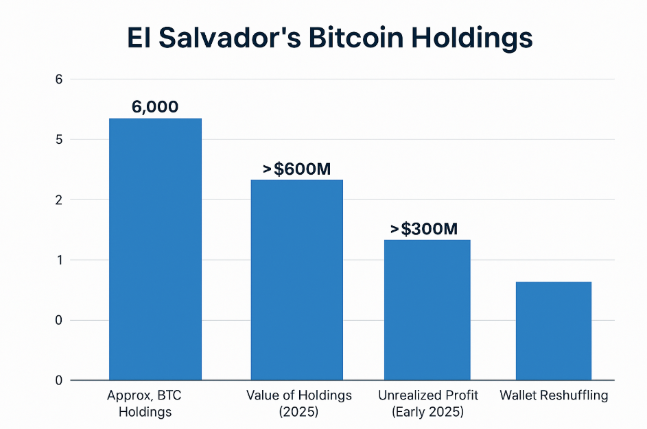 How Much Is El Salvadors Bitcoin Worth