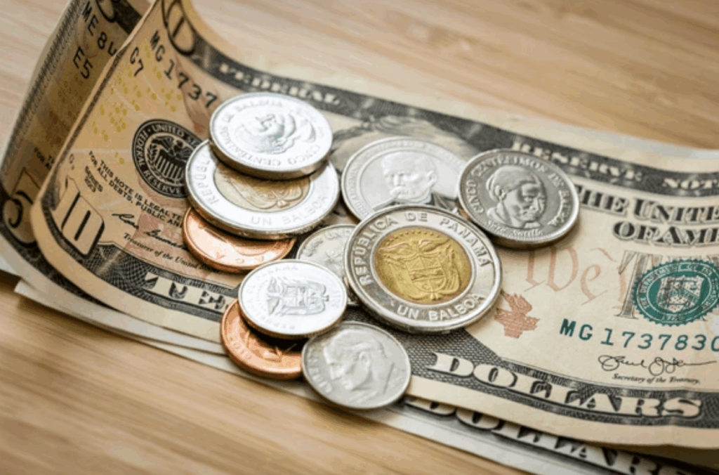 What Does Panama Money Look Like