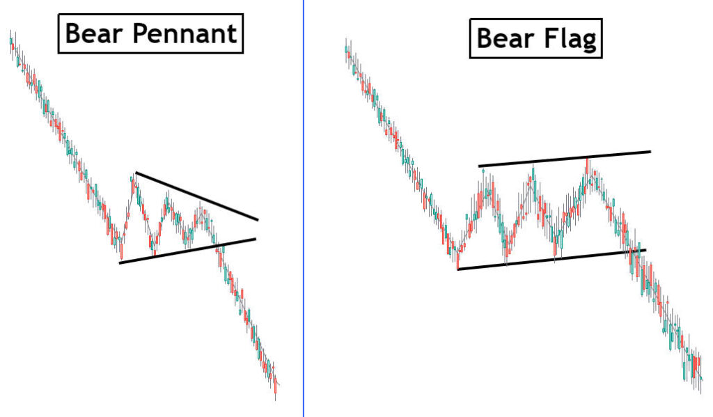 bear pennant vs bear flag stock