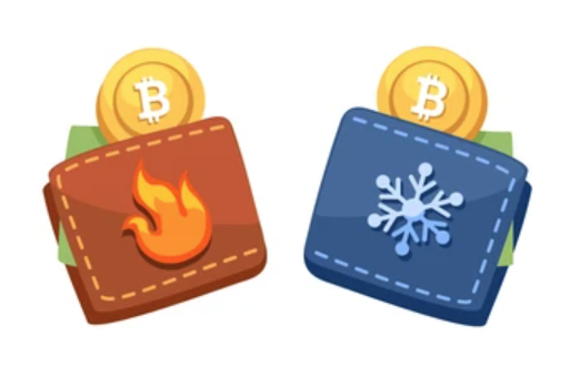 hot wallet vs cold wallet cypto