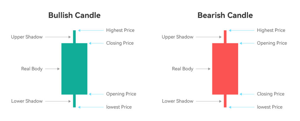 The body, upper shadow and lower shadow of a candle, depicting it's highest price and lowest price on a bullish and bearish candle respectively.
