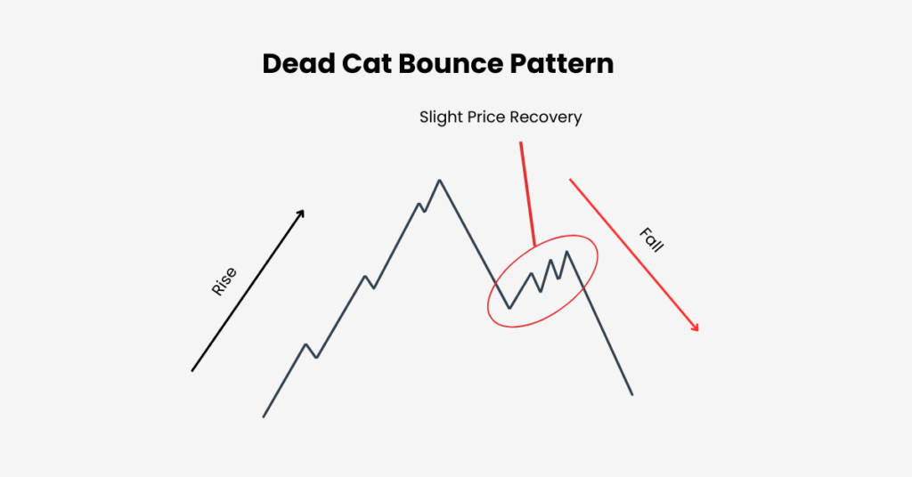 v (22) | Ultima Markets