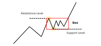 Box Theory Explained: All You Need to Know
