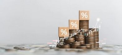 Dividend Stocks: What Are They & How to Find Out