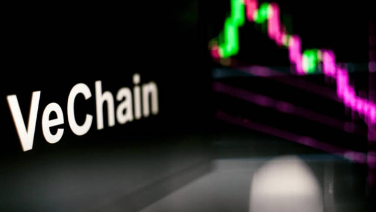 BMW, PWC, and Walmart China are already using VeChain for supply chain transparency and asset tracking, and more partnerships like these could strengthen its price. - Ultima Markets