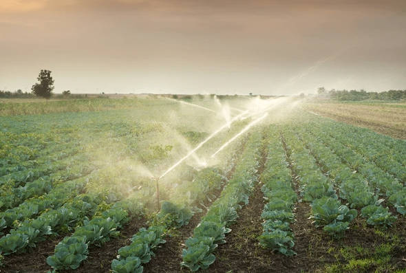 The best water stocks offer a rare mix of resilience, dividends, and growth for long term investors. - Ultima Markets