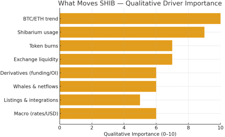 What Moves SHIB Coin Price