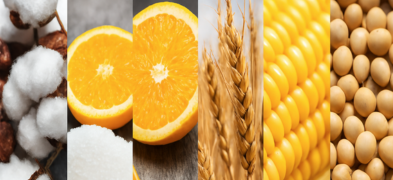 What Are Soft Commodities? How to Trade?