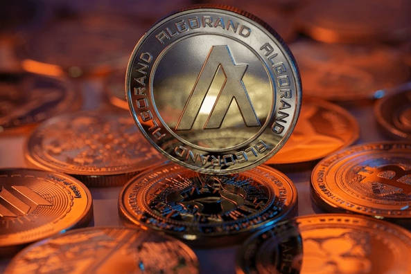 The algorand price prediction for 2030  - Ultima Markets