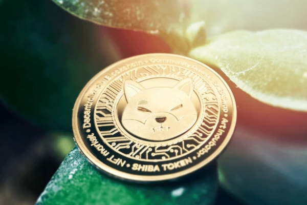 Will Shiba Inu Coin Reach $1 Soon? - Ultima Markets