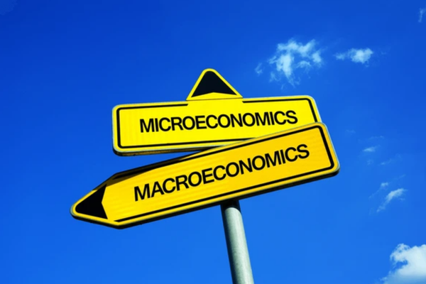 Difference Between Micro and Macro Economics. - Ultima Markets