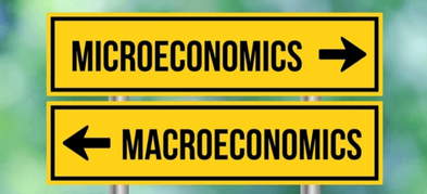 Difference Between Micro and Macro Economics