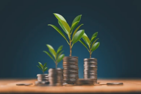 One of the good stocks to buy for beginners are growth stocks. - Ultima Markets