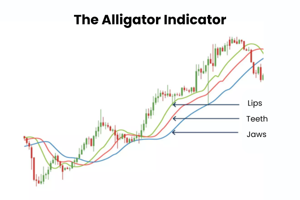 what is the alligator indicator? - Ultima Markets