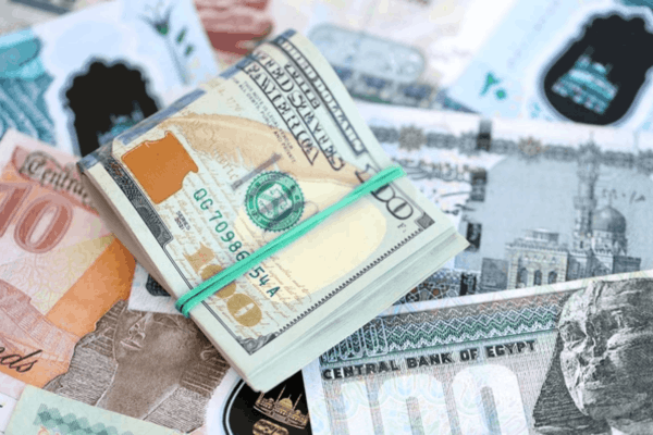 In currency trading, shorting the dollar involves borrowing USD and selling it against another currency. - Ultima Markets