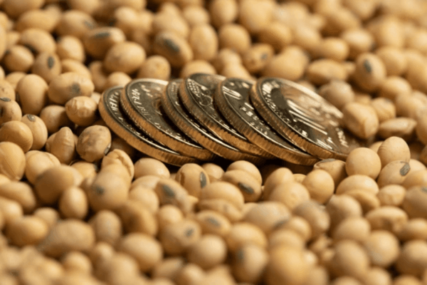 What is Commodity Money? - Ultima Markets
