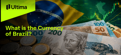 What is the Currency of Brazil Used?