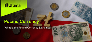 What is the Poland Currency Explained