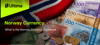 What Is the Norway Currency Explained