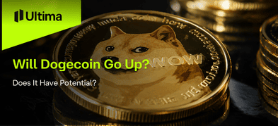Will Dogecoin Go Up? Does It Have Potential?
